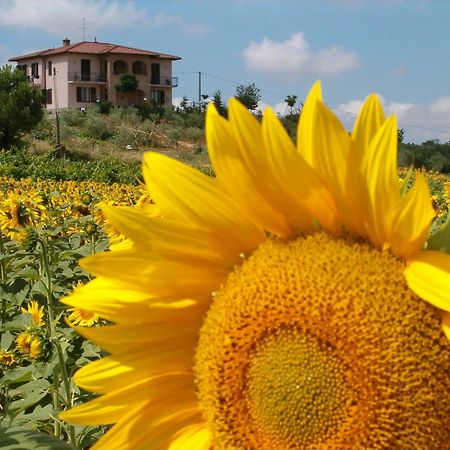 B&B Il Girasole - Rooms & House In Country - 1500 Meters From The City Montepulciano Stazione Екстериор снимка