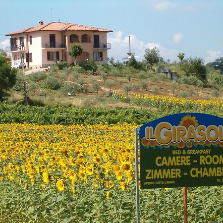 B&B Il Girasole - Rooms & House In Country - 1500 Meters From The City Montepulciano Stazione Екстериор снимка