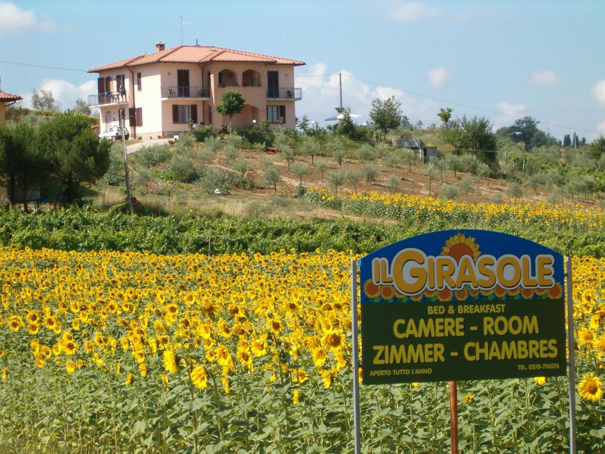 B&B Il Girasole - Rooms & House In Country - 1500 Meters From The City Montepulciano Stazione Екстериор снимка