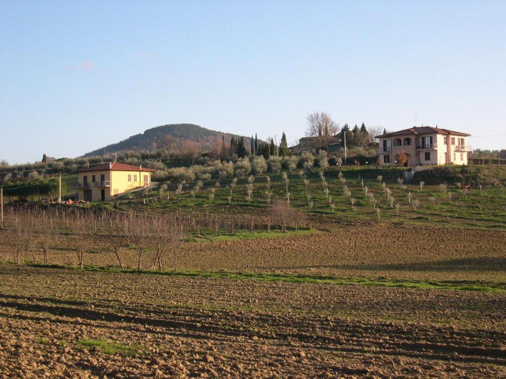B&B Il Girasole - Rooms & House In Country - 1500 Meters From The City Montepulciano Stazione Екстериор снимка