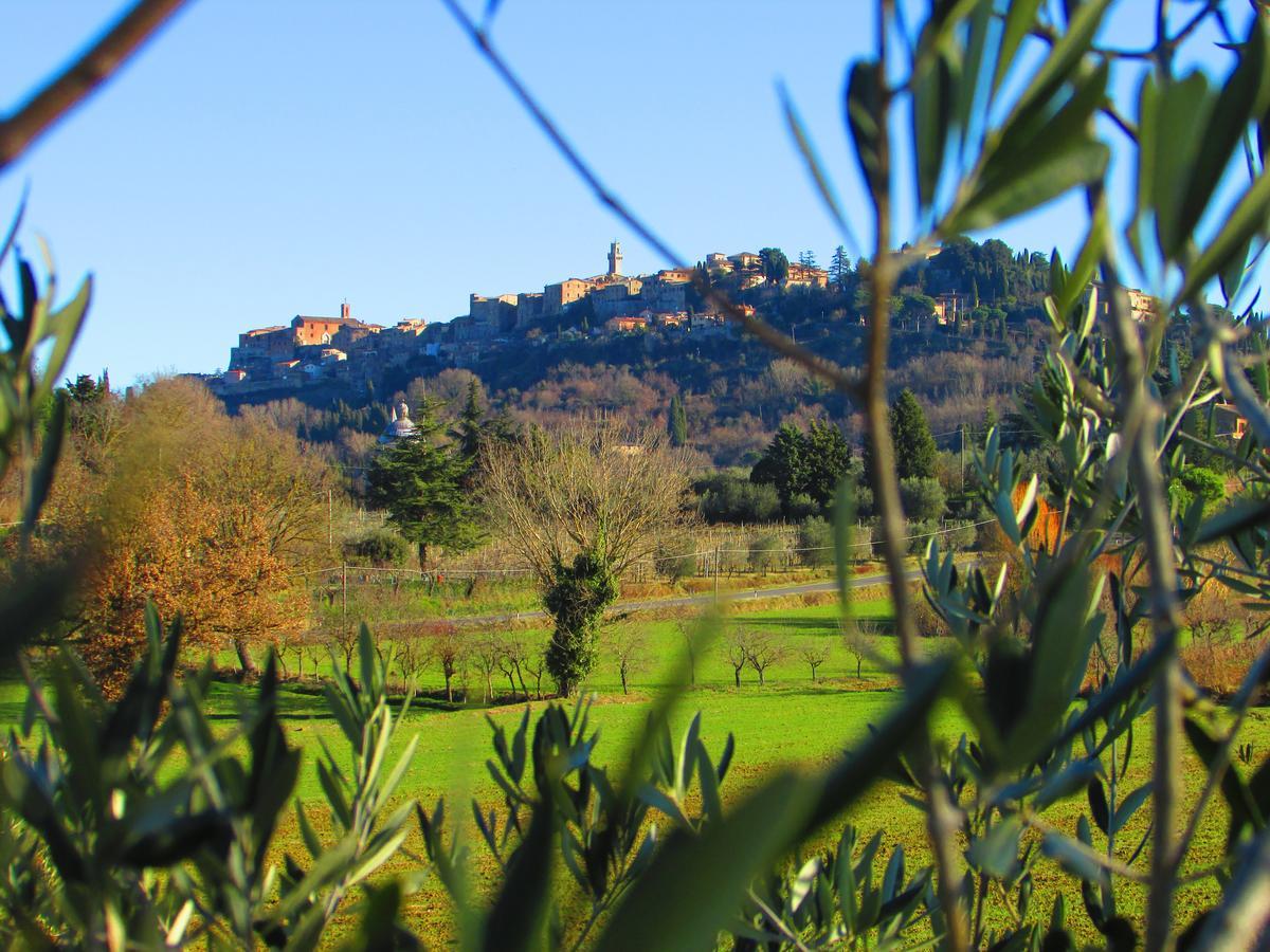 B&B Il Girasole - Rooms & House In Country - 1500 Meters From The City Montepulciano Stazione Екстериор снимка