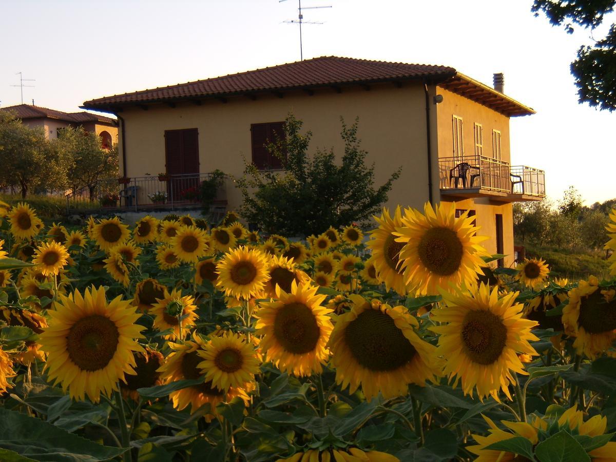 B&B Il Girasole - Rooms & House In Country - 1500 Meters From The City Montepulciano Stazione Екстериор снимка