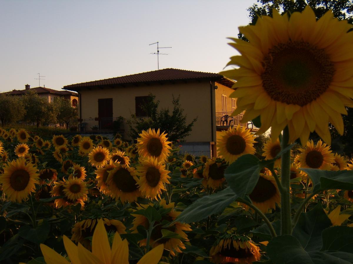 B&B Il Girasole - Rooms & House In Country - 1500 Meters From The City Montepulciano Stazione Екстериор снимка